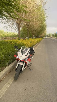 Cyclone RC250 - ფოტო 2