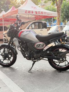 Sundiro Honda CBF190TR - ფოტო 4