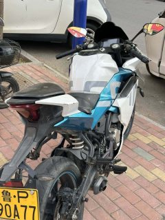 CFMOTO 250SR - ფოტო 3
