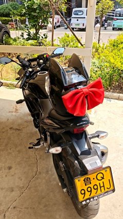 Haojue Suzuki GSX250R - фото 2