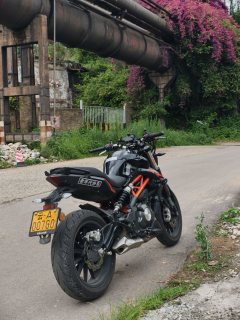 Benelli TNT 300 / BN 302S - ფოტო 2