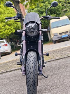 Benelli Lion Cub Leoncino 500 - ფოტო 2