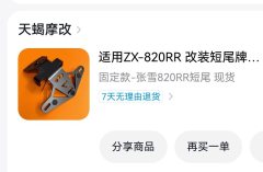 Zhangxue Motorcycles 820RR - фото 10