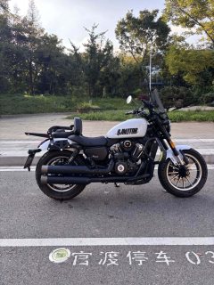 QJMOTOR 300 - ფოტო 5