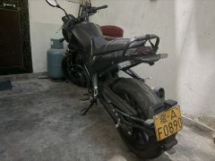 Benelli Leoncino 250 - ფოტო 3