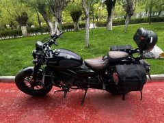 CFMOTO 250CL-C - ფოტო 2