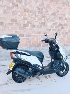 Haojue Tiger Shark VX125 - ფოტო 5