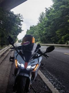 Voge 250RR - ფოტო 1