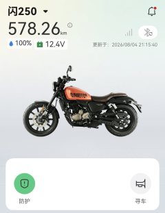 QJMOTOR Flash 250 - ფოტო 4