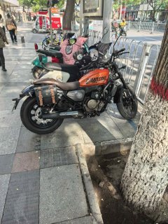 QJMOTOR Flash 250 - ფოტო 7