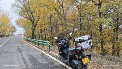 QJMOTOR Hong 250 ADV - фото 3