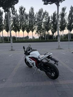 Kayo 450RR - ფოტო 3