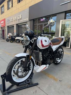 Zhangxue Motorcycles 500F - ფოტო 8