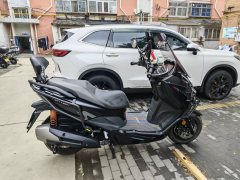 QJMOTOR 250 - ფოტო 6