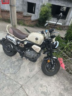 Zongshen Little Bear 150 cc - ფოტო 3
