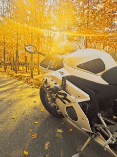 Zhangxue Motorcycles 500RR - ფოტო 7