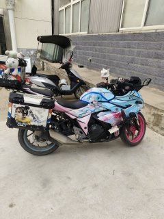 Haojue Suzuki GSX250R - ფოტო 2