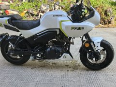 CFMOTO Papio XO-1 125 cc - photo 4