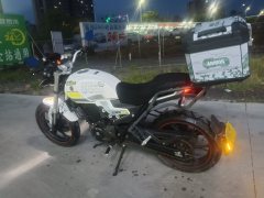 SHINERAY DM250 - ფოტო 2