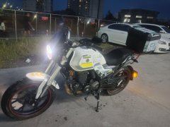 SHINERAY DM250 - ფოტო 3