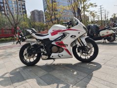 QJMOTOR SRK 250 - ფოტო 2