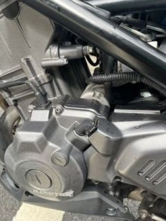 QJMOTOR Chase 350 - ფოტო 3