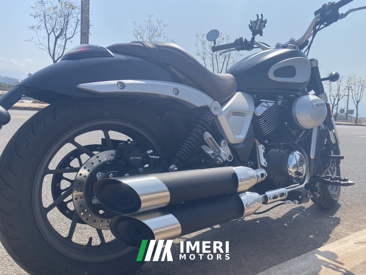 2022 Jueshijie DX250