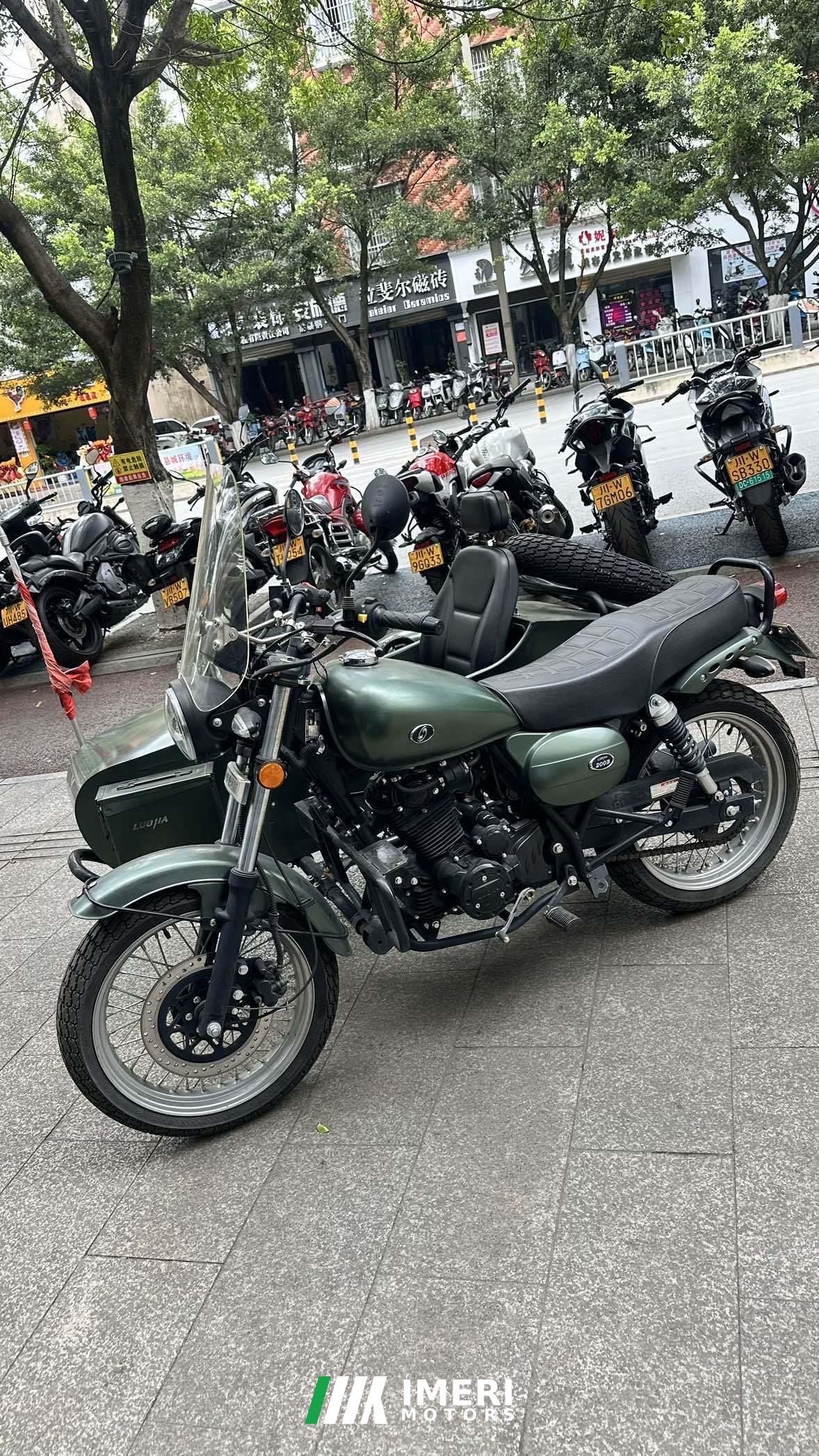 2021 Luojia LJ200B
