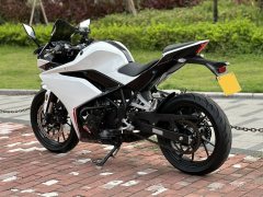 Kayo 250RR Thornbird - photo 3