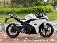 Kayo 250RR Thornbird - photo 6
