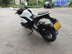 Kayo 250RR Thornbird - фото 1