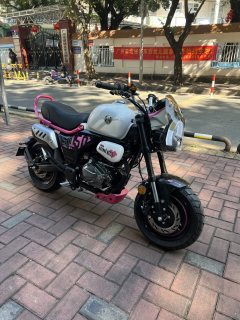 Zongshen Little Bear 150 cc - ფოტო 1