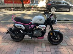 Zongshen Little Bear 150 cc - ფოტო 2
