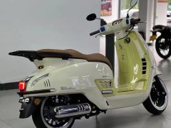 Cyclone RT3E Modern 250 cc - photo 4