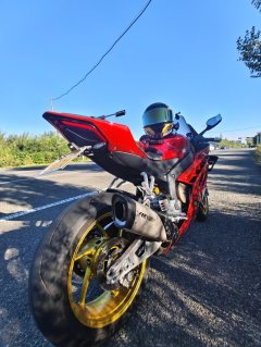 Zhangxue Motorcycles 820RR - фото 2