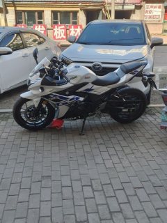 Haojue Suzuki GSX250R - ფოტო 2