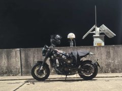 Benelli Lion Cub Leoncino 500 - ფოტო 1