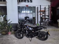 Benelli Lion Cub Leoncino 500 - ფოტო 2
