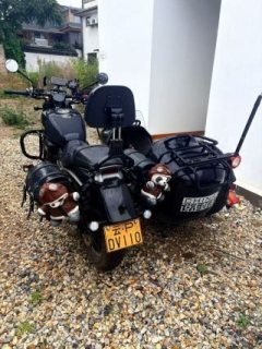 QJMOTOR 350+ - ფოტო 4