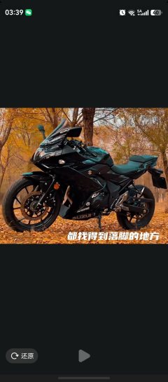 Haojue Suzuki GSX250R - ფოტო 2