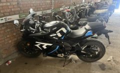 Tairong GP1-250R - ფოტო 1