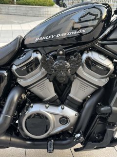 Harley-Davidson Nightster 975 cc - ფოტო 5
