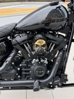 Harley-Davidson Low Rider S 1923 cc - photo 8
