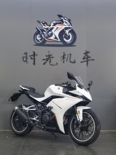 Kayo 250RR Thornbird - ფოტო 3