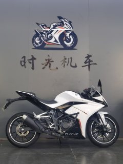 Kayo 250RR Thornbird - ფოტო 4