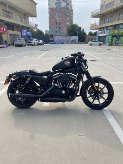 Harley-Davidson Iron883 Tough Guy - photo 7