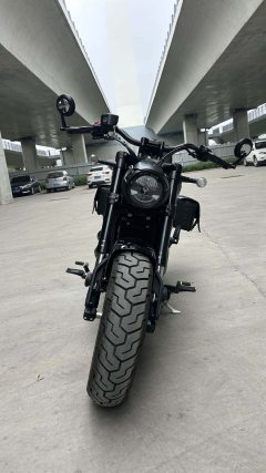 Benda Chinchilla 450 - photo 3