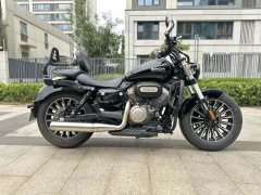 Benda Polestones 03 Gray 300 cc - photo 1