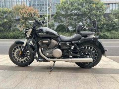 Benda Polestones 03 Gray 300 cc - photo 6