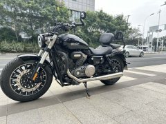Benda Polestones 03 Gray 300 cc - photo 7